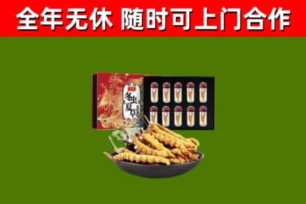 沙河回收冬虫夏草价格